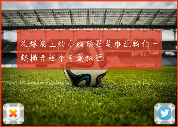 足球场上的小狗明星是谁让我们一起揭开这个可爱秘密