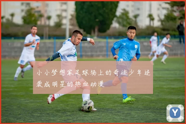 小小梦想家足球场上的奇迹少年逆袭成明星的热血动漫