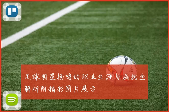足球明星杨鸣的职业生涯与成就全解析附精彩图片展示