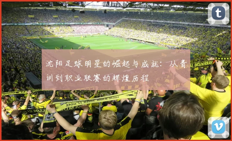 沈阳足球明星的崛起与成就：从青训到职业联赛的辉煌历程