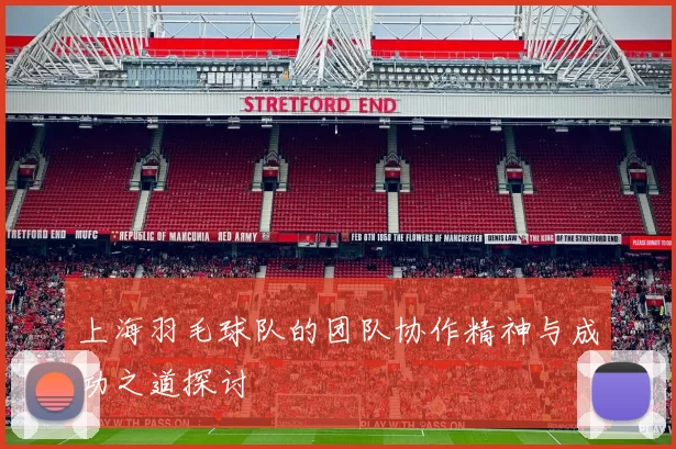 上海羽毛球队的团队协作精神与成功之道探讨