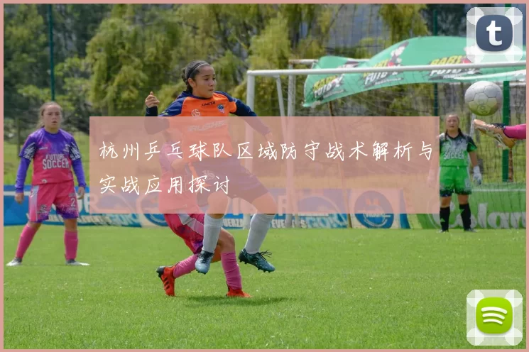 杭州乒乓球队区域防守战术解析与实战应用探讨
