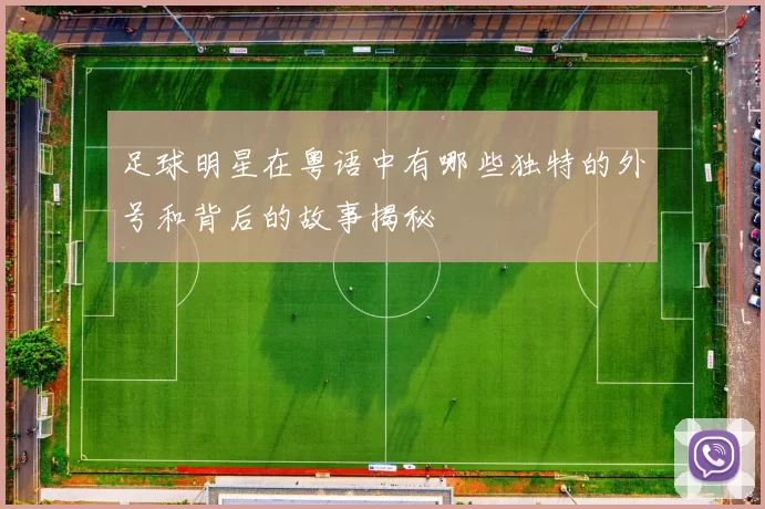 足球明星在粤语中有哪些独特的外号和背后的故事揭秘