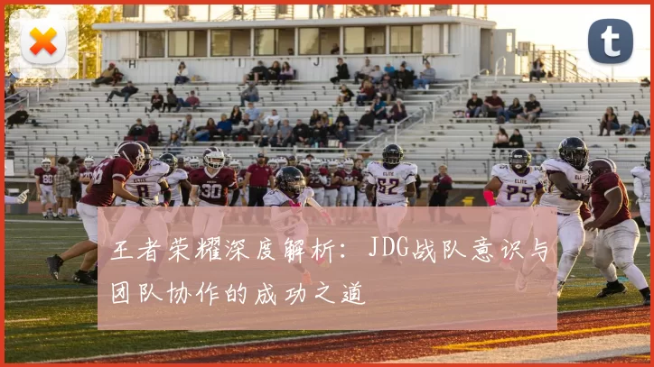 王者荣耀深度解析：JDG战队意识与团队协作的成功之道
