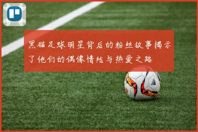 黑猫足球明星背后的粉丝故事揭示了他们的偶像情结与热爱之路