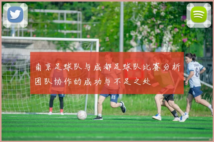南京足球队与成都足球队比赛分析团队协作的成功与不足之处