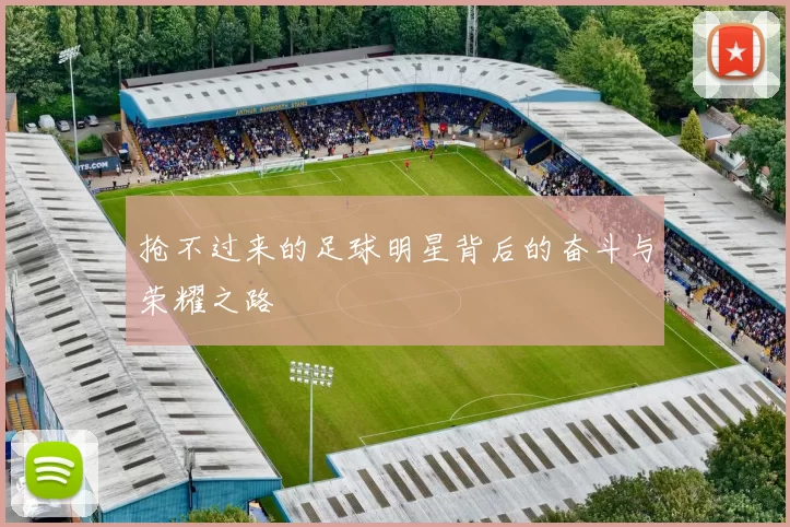 抢不过来的足球明星背后的奋斗与荣耀之路