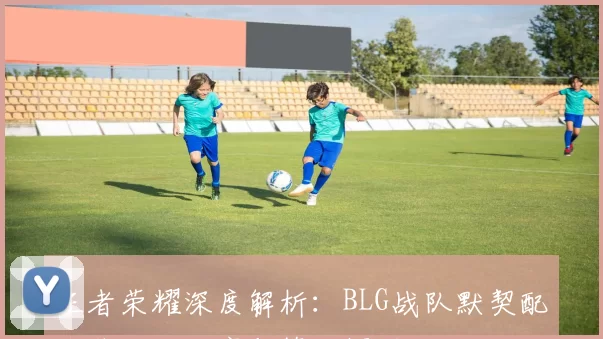 王者荣耀深度解析：BLG战队默契配合背后的秘密与策略探讨
