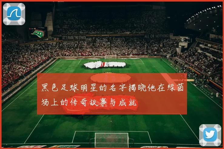黑色足球明星的名字揭晓他在绿茵场上的传奇故事与成就