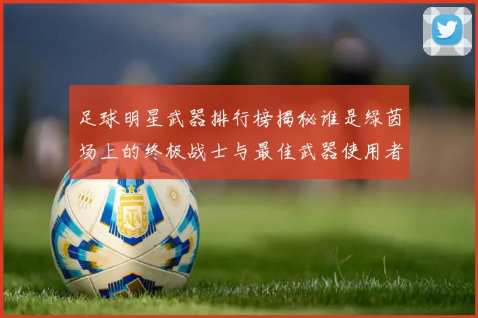 足球明星武器排行榜揭秘谁是绿茵场上的终极战士与最佳武器使用者
