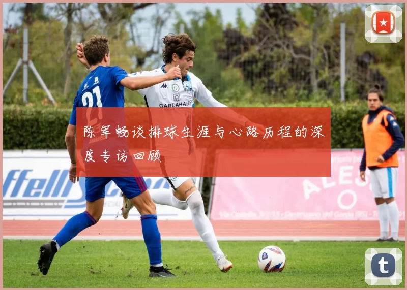 陈军畅谈排球生涯与心路历程的深度专访回顾