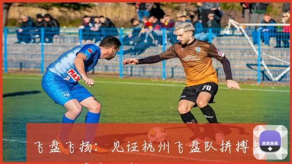 飞盘飞扬：见证杭州飞盘队拼搏与成长的真实故事
