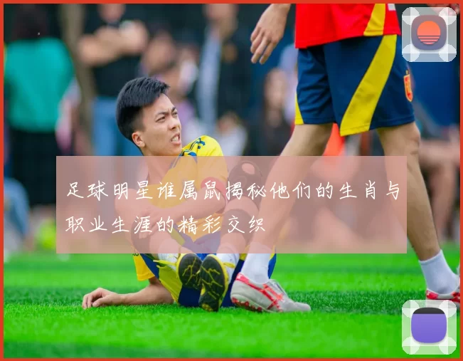 足球明星谁属鼠揭秘他们的生肖与职业生涯的精彩交织