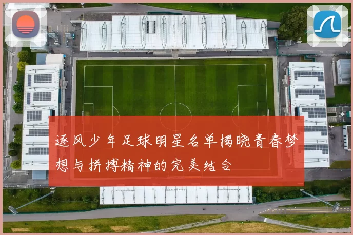逐风少年足球明星名单揭晓青春梦想与拼搏精神的完美结合