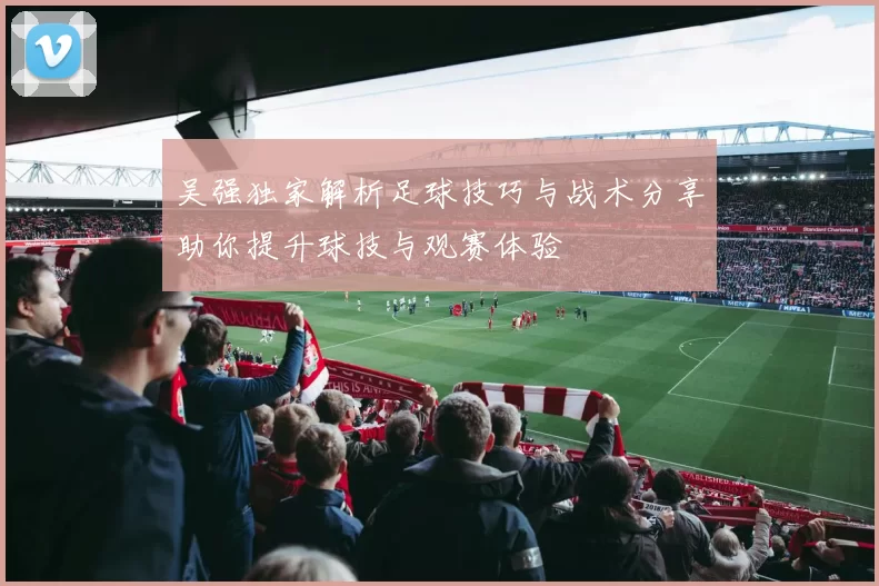 吴强独家解析足球技巧与战术分享助你提升球技与观赛体验