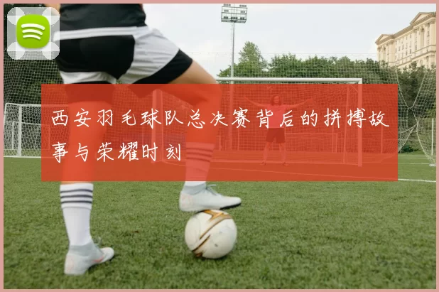 西安羽毛球队总决赛背后的拼搏故事与荣耀时刻