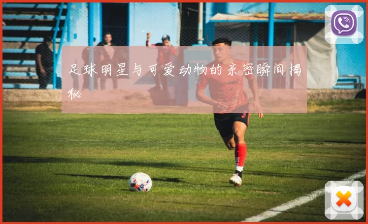 足球明星与可爱动物的亲密瞬间揭秘