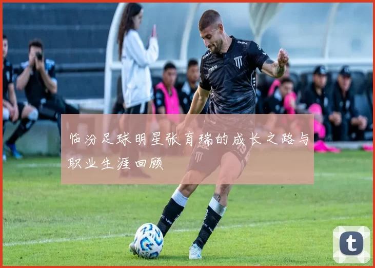 临汾足球明星张育瑞的成长之路与职业生涯回顾