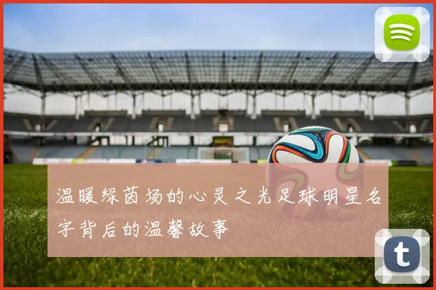温暖绿茵场的心灵之光足球明星名字背后的温馨故事