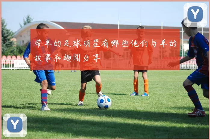 带羊的足球明星有哪些他们与羊的故事和趣闻分享