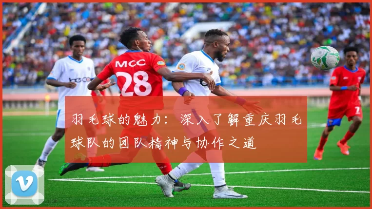 羽毛球的魅力：深入了解重庆羽毛球队的团队精神与协作之道